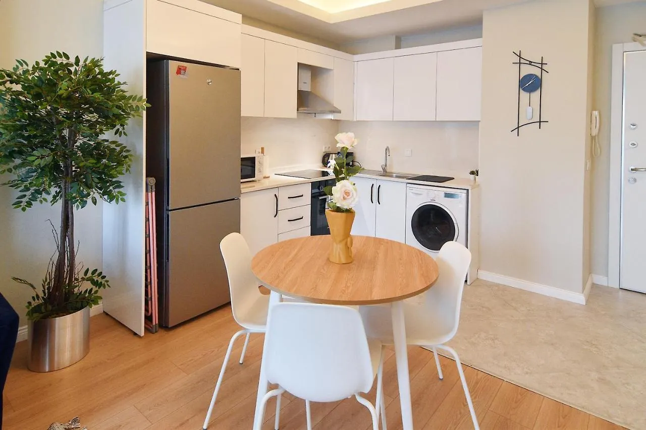 Cozy 1Br Apt Perfect Blend Of Comfort & Style Istanbul Apartment